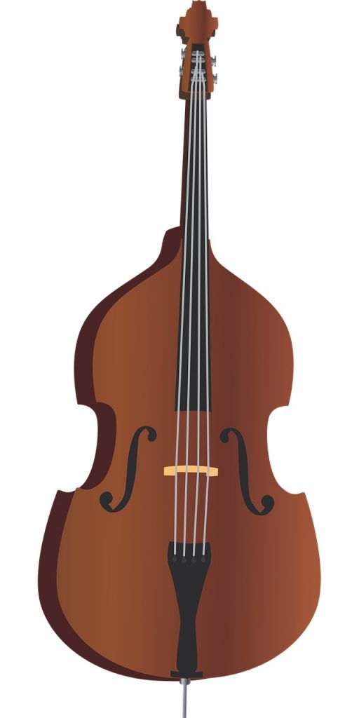 Quel instrument à corde choisir